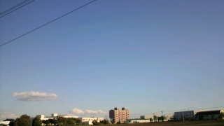 (untitled)