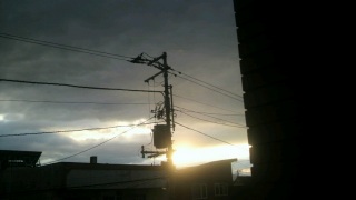 (untitled)
