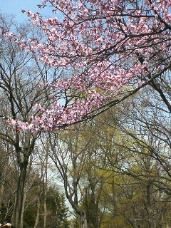 (untitled)