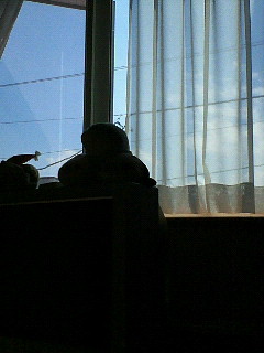 (untitled)