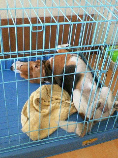 (untitled)