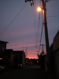 (untitled)